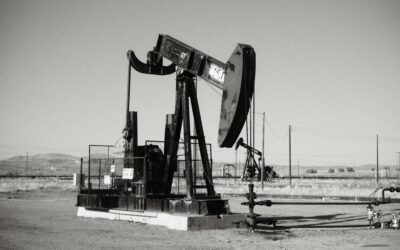 UAE Leaves OPEC in 2026: Strategic Shockwaves Across Global Oil Markets, Geopolitics, and Energy Transition