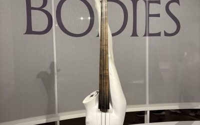 Musical Bodies at The Met Museum: A Human Symphony Through Art and Music